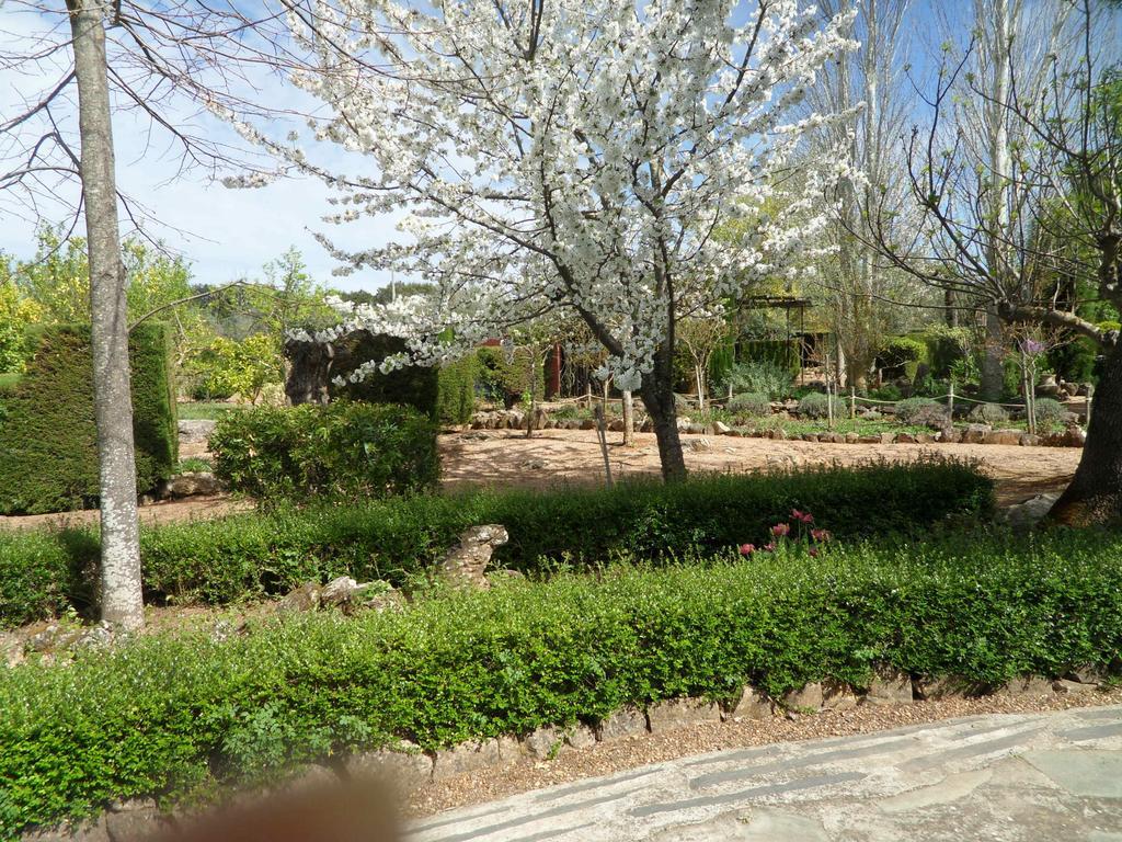 Monte Da Fornalha Bed and Breakfast Borba Exterior foto
