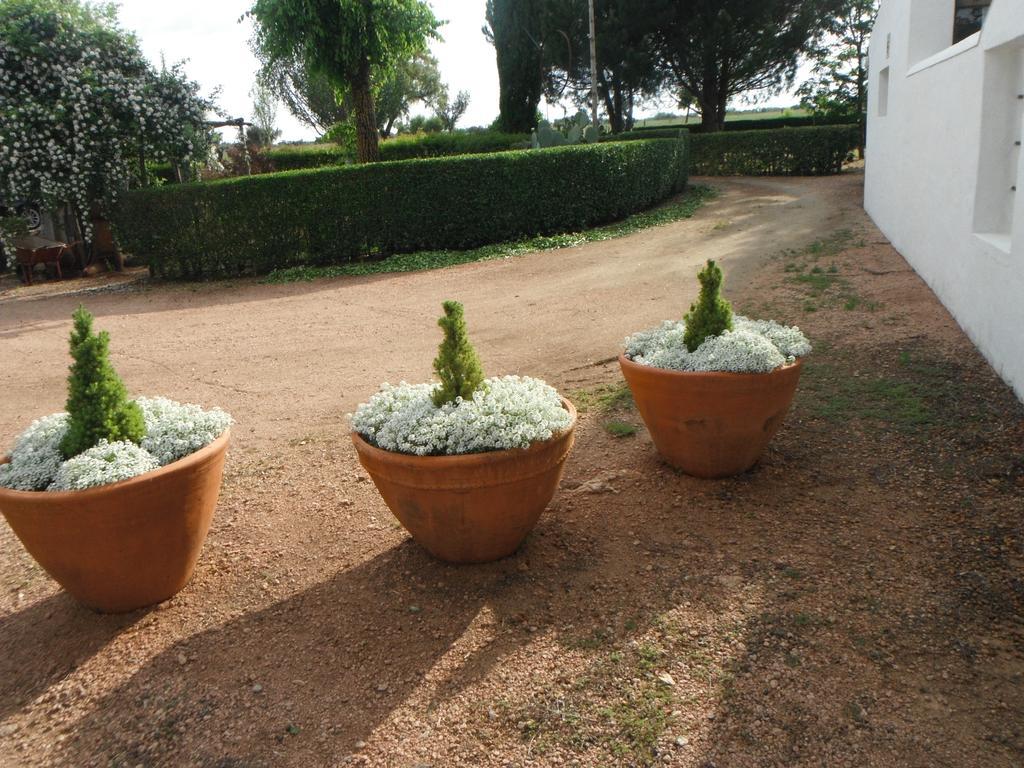 Monte Da Fornalha Bed and Breakfast Borba Exterior foto