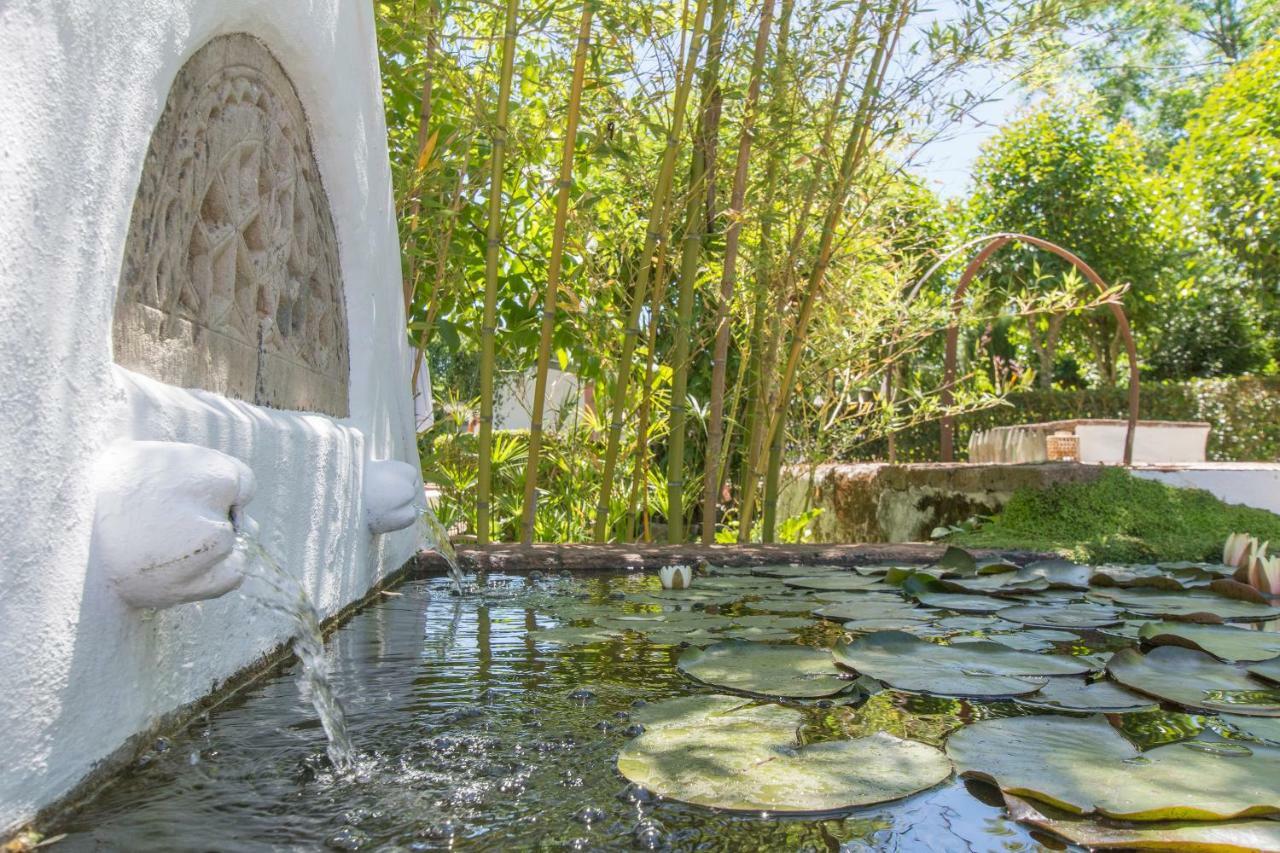 Monte Da Fornalha Bed and Breakfast Borba Exterior foto
